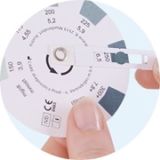 Immagine del disco del test